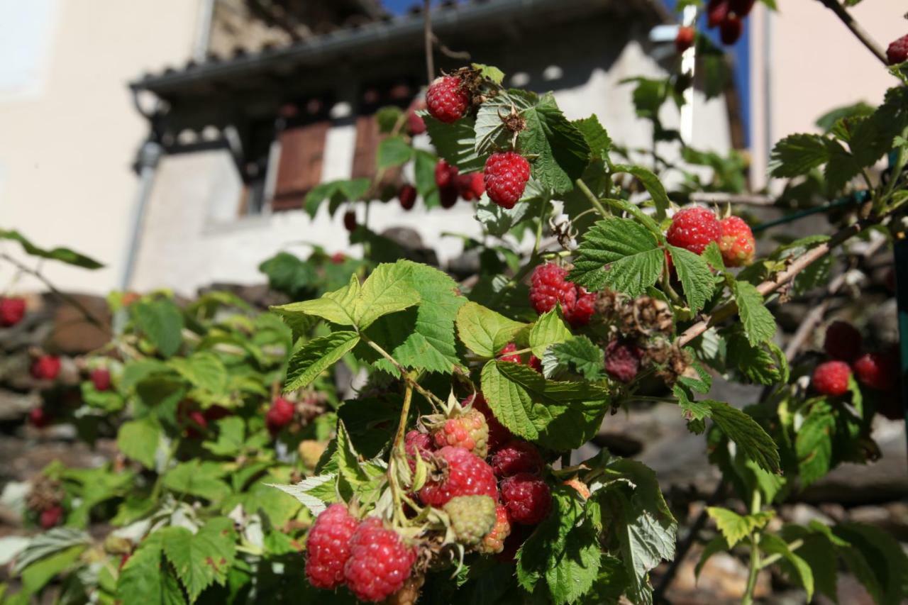 Вилла La Caladette Les Plantiers Экстерьер фото